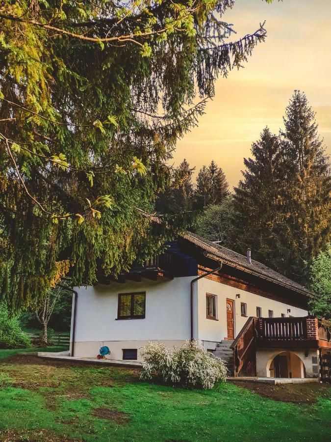 Ferienwohnung Ferienhaus Mooshuben Mariazell Exterior foto
